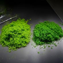 草粉仿真diy手工制作材料沙盘场景装饰绿色草景观苔藓青苔粉铺面
