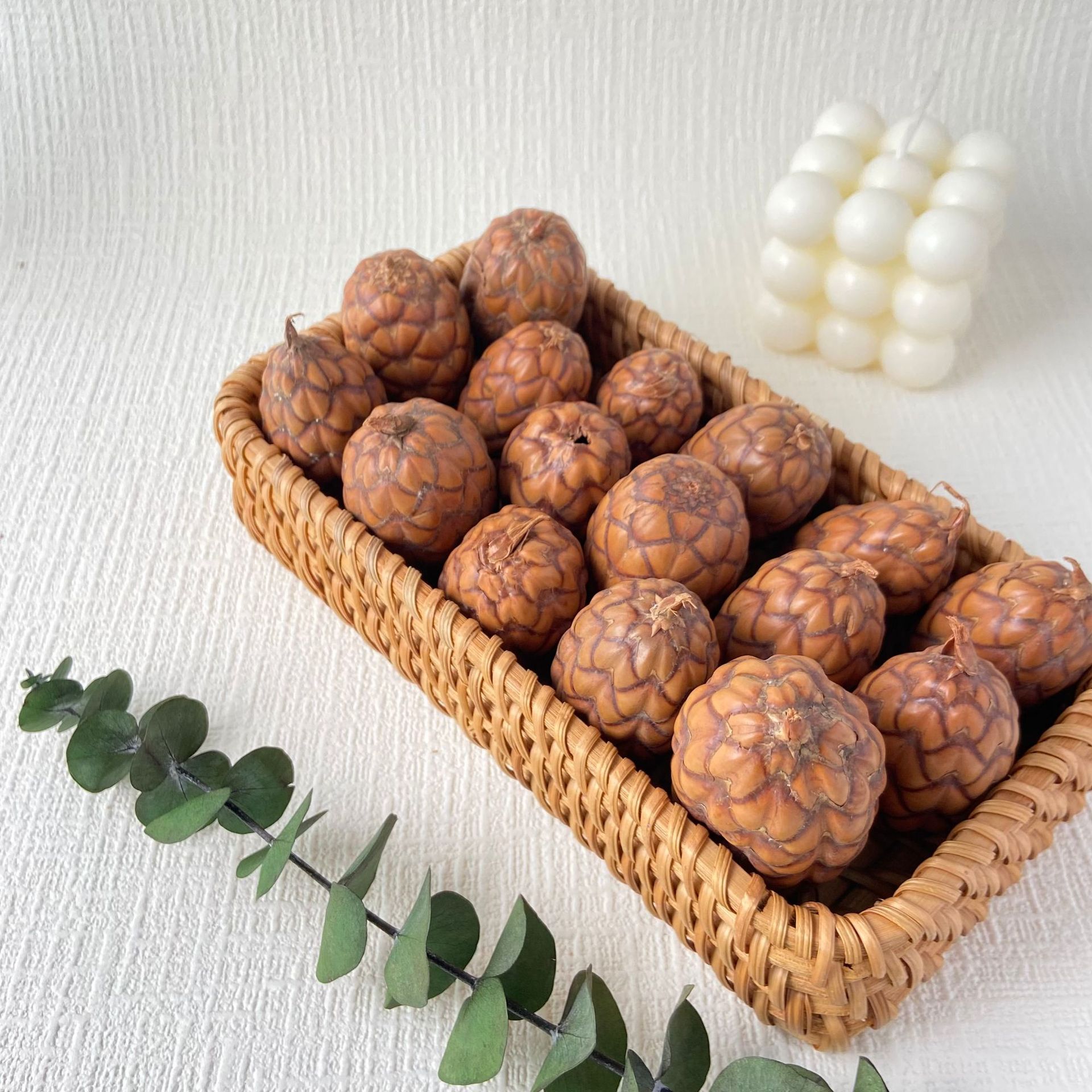 进口干果南美酒椰果疗愈文玩天然植物盘玩手工艺品装饰摆设装饰