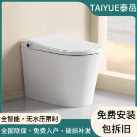 轻奢高端家用智能马桶一体式全自动无水压限制遥控即热坐便器马桶