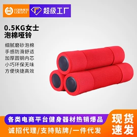 哑铃;健腹器;其他健身器材
