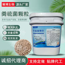 �S����w���ĵ�Ƭ ˮ�a�Bֳ�~����ˮ�ֽ��ٳصװl�ڰl���ĺ���