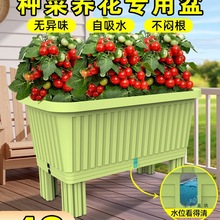 ���_�N�ˌ������̨�Nֲ���L�������ϻ�����ô�̖�߲����픻���