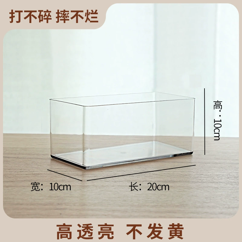 Transparent Square Hydroponic Vase, Desktop Shatterproof Planter, Multiple Sizes (8–30 cm)