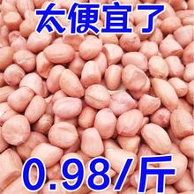 现剥白沙10粉皮5斤新装g榨油花生米新货花生米降价大粒新鲜大包装