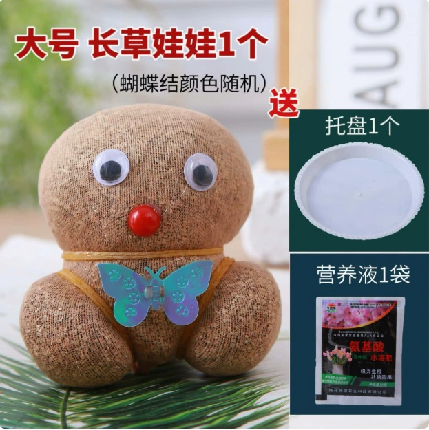 СтоловаяCute кукольная головка для детского сада для выращивания растений, DIY