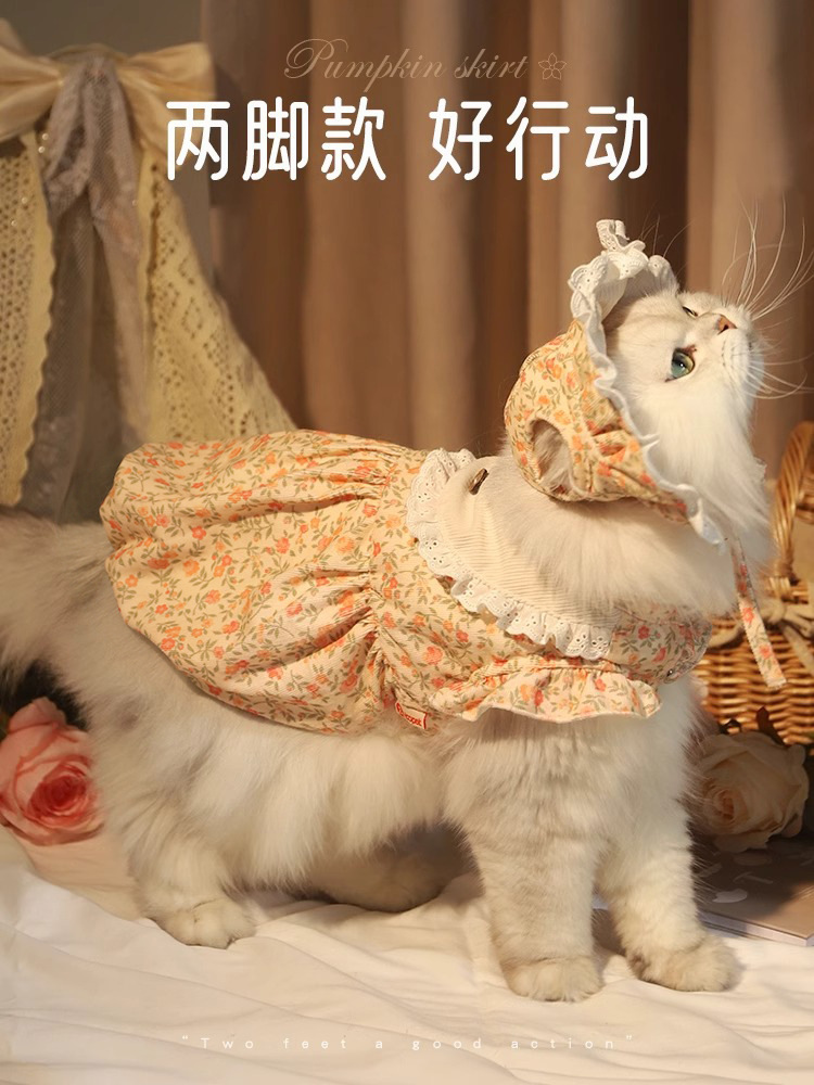 23Y0028G韩系小碎花南瓜裙/娃娃帽