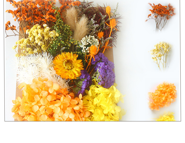 Pastoral Colorful Dried Flower Wedding Graduation Birthday Bouquet display picture 6