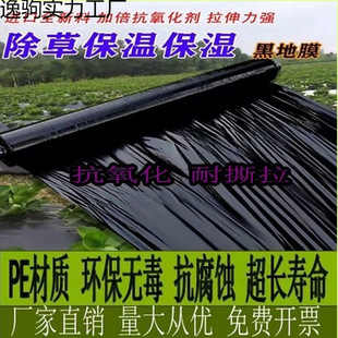 Thickened Black Ground Film for Agricultural Use, Vegetable and Berry Cultivation, Insulation, Greenhouse Plastic Special Film Premium Model