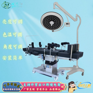 Hospital Operating Room Special Led Shadowless Lamp Total Reflection Double Head Surgical Lamp Oral Orthopedic Lighting Shadowless Lamp