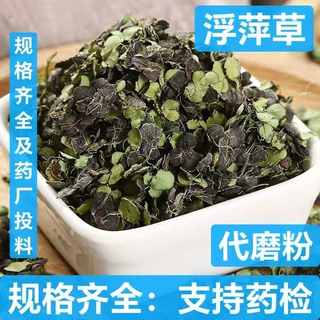 浮萍草 中药材 青浮萍 紫浮萍草 浮萍 支持药检 代磨粉
