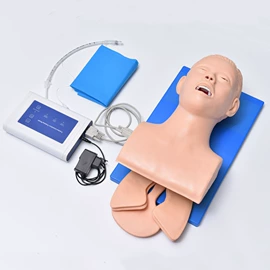 医药教学器材;教学演示用品