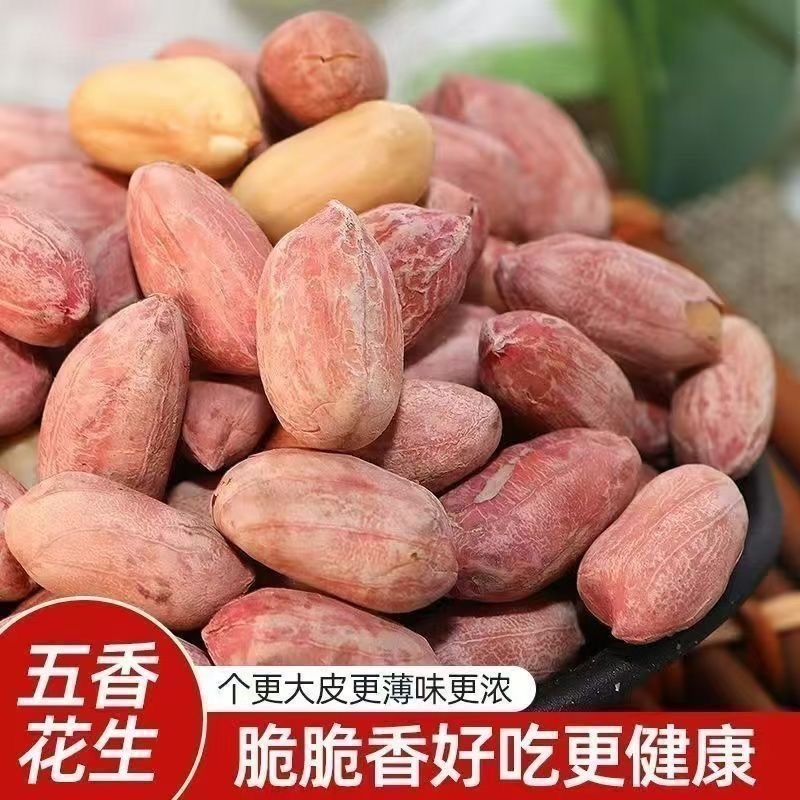 【40袋实惠装】山东五香烤花生米香酥脱油爽口咸香美味解馋下酒菜|undefined