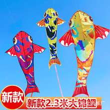 �H�������\���Lβ�L�~���l���L���˃�ͯ�ؔ�؛Դ���w���N�[�����