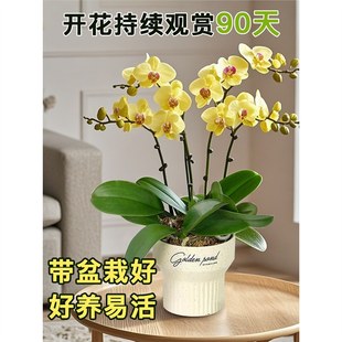 �����m���Ԏ����m���҃ȿ͏d�̨���ܾGֲ���B�׻��ֲ���_������