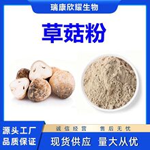 草菇粉Straw Mushroom Powder菌类生粉厂家现货量大从优1k起批