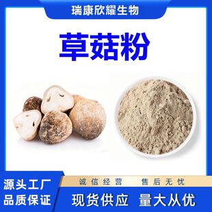 �ݹ���Straw Mushroom Powder������ۏS�ҬF؛����ă�1k����
