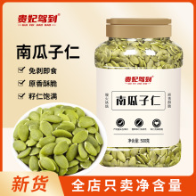 新货原味南瓜子仁独立包装烘焙炒货大颗粒南瓜子休闲食品解馋零食