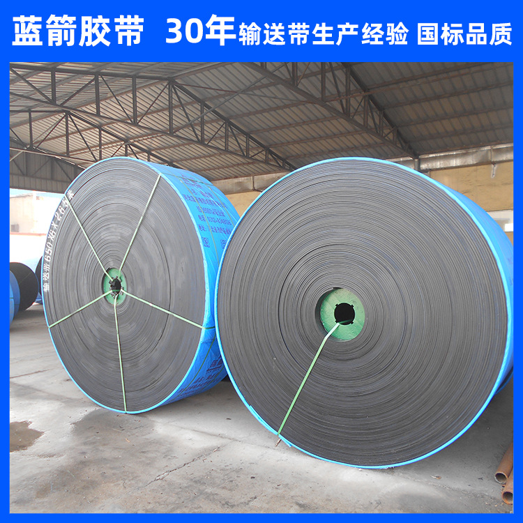 河北蓝箭厂家供应难燃型尼龙带NN300帆布输送带 尼龙阻燃输送带