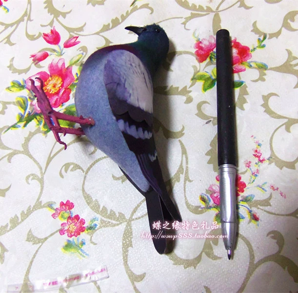 Модельная маленькая серая голубь-кукла Wild Pigeon Flower Pigeon Поддержка фотографии игрушечная реквизит 教学 aid 模拟 птица