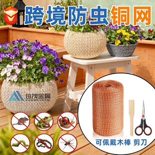 �羳12.7cm*6m�F؛��΁ţ�~�W ���sᄾ���̖���ξW� ������~�z�W