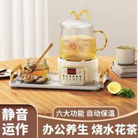 新款煮茶器一人用迷你养生壶小型办公室煮茶壶家用玻璃烧水电茶炉