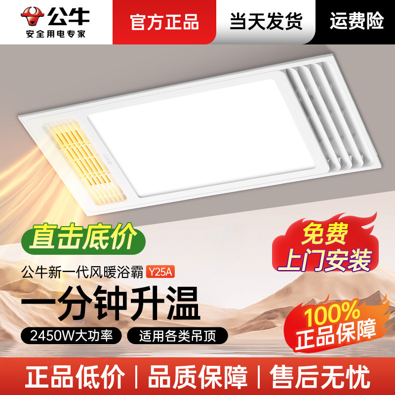 Bull Brand Bathroom Heater with Integrated Lighting, Ceiling-Mounted Bathroom Heater with Integrated Lighting