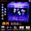 Chiyue buy four and get two free + transparent tank + two lanterns + two packs of sea salt + food + dropper + feeding card