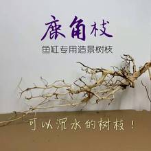 鹿角枝沉木鱼缸造景素材干树杜鹃根原生南美埃及神仙黄梨插花莫斯