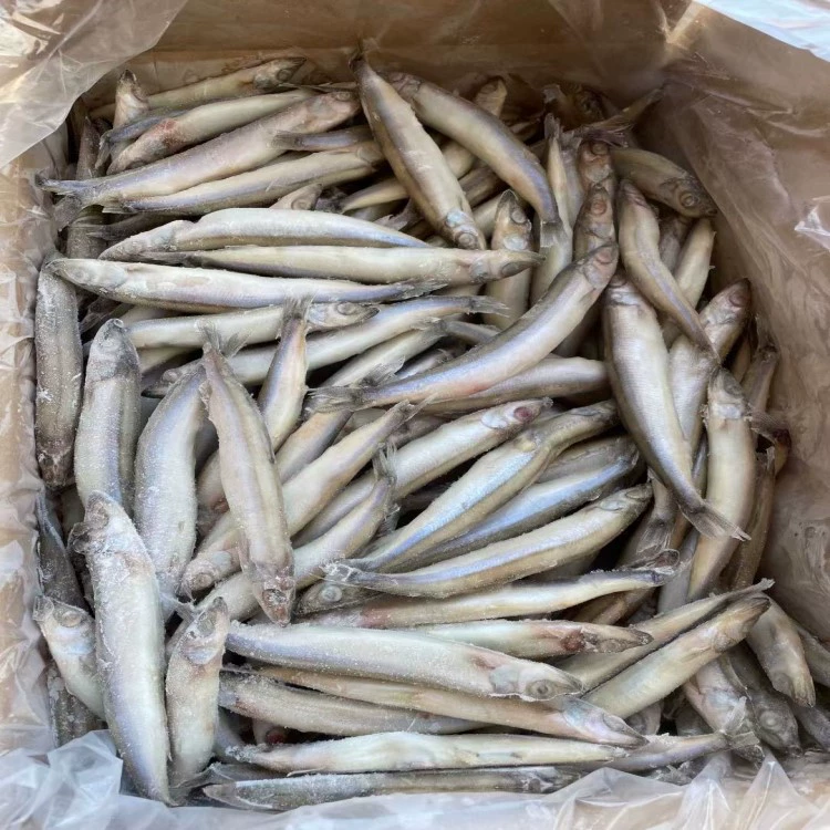 Замороженная Оптовая Одиночная замороженная цельная Весенняя рыба с семенами Коммерческое цельное Рыбное барбекю, охлажденные свежие жареные на гриле ингредиенты из морепродуктов