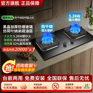 德国品牌燃气灶家用防干烧定时猛火灶天然气液化气节能双灶