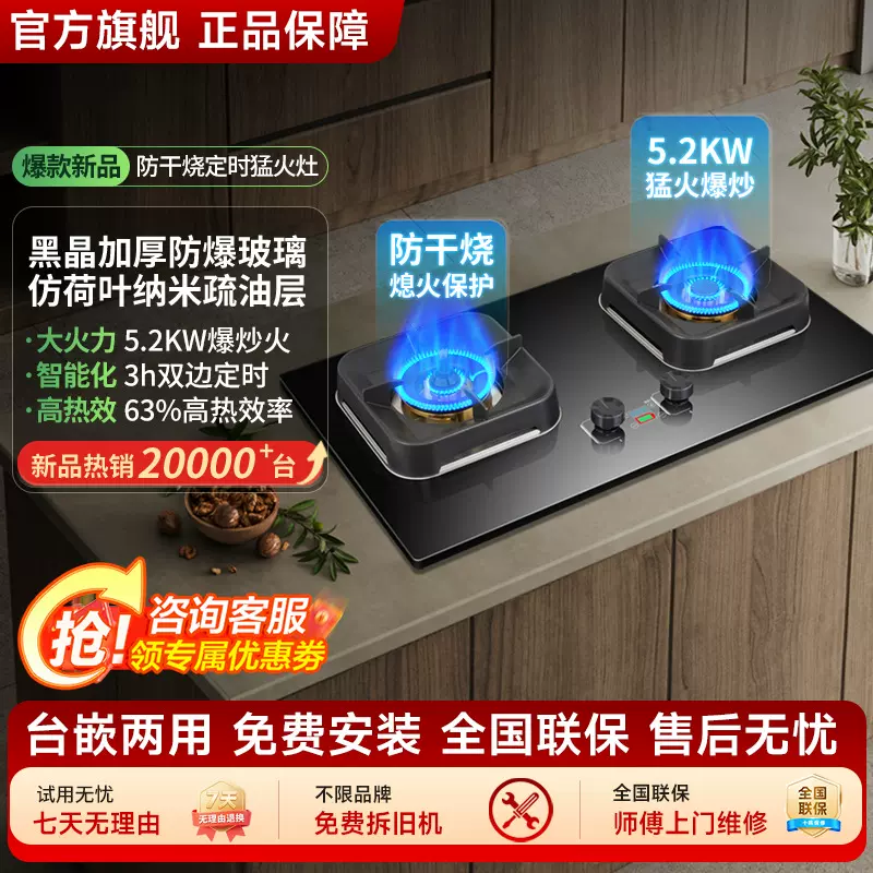 德国品牌燃气灶家用防干烧定时猛火灶天然气液化气节能双灶