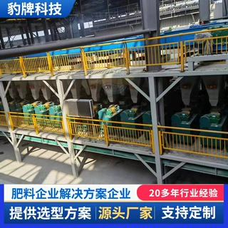 烘干有机肥复合肥生产线 氯化铵干粉对辊挤压造粒成套设备