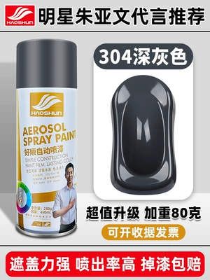 Avtomobil boya qələmləri | Metal Anti-rust Paint Wall - haoshun-self-painted-450ml304-dark-gray