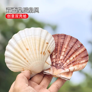 ��Ȼؐ���p���ʺ���ؐ����YƷ���նY��ϡ�И˱��ղؼҾ��b�Ʒ��