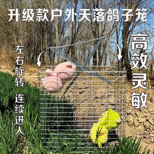 �¿���������\���D�\���D����\�Ӵ����\������\�B�\�����\