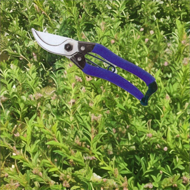 厂家直销高质量园林剪修枝剪树枝剪果枝剪摘果剪   欢迎选购