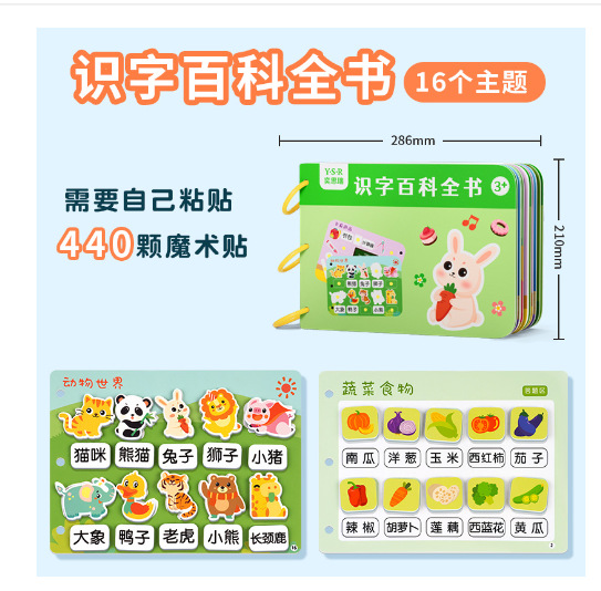 Literacy Book Quiet Book -18 pages