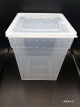 白蛐蛐油葫芦蟋蟀爬虫箱树蛙勾亚蜥蜴饲养箱活体饲料睫角盖老爷