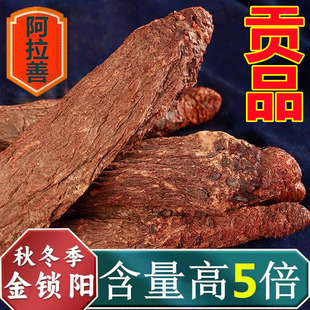 ���C���iꖂ���������Ƭ����ݲ��ݾ����������a��ɐ�؂���Ƭ