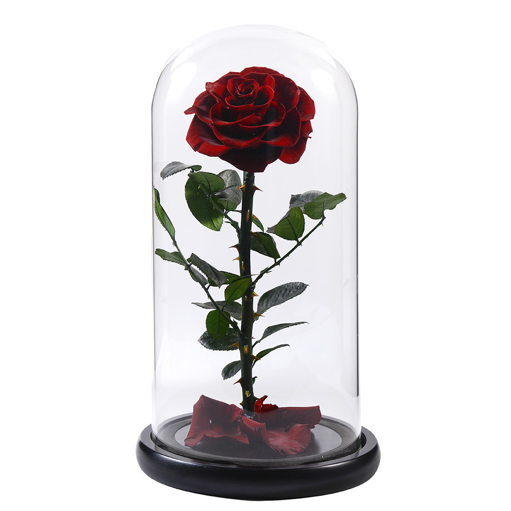 15 * 30 cm de vino rojo