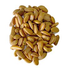 ���l�Ĵ������ӷN�� �辰�����Ӻ��T����N �½����ӷN����Ʒ