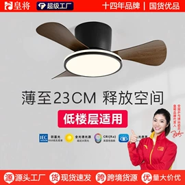 风扇灯;电风扇;吊扇