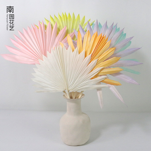 Palm leaf dried flower cattail leaf sun fan immortal flower home decoration ornaments Christmas bouquet Valentine's Day gift