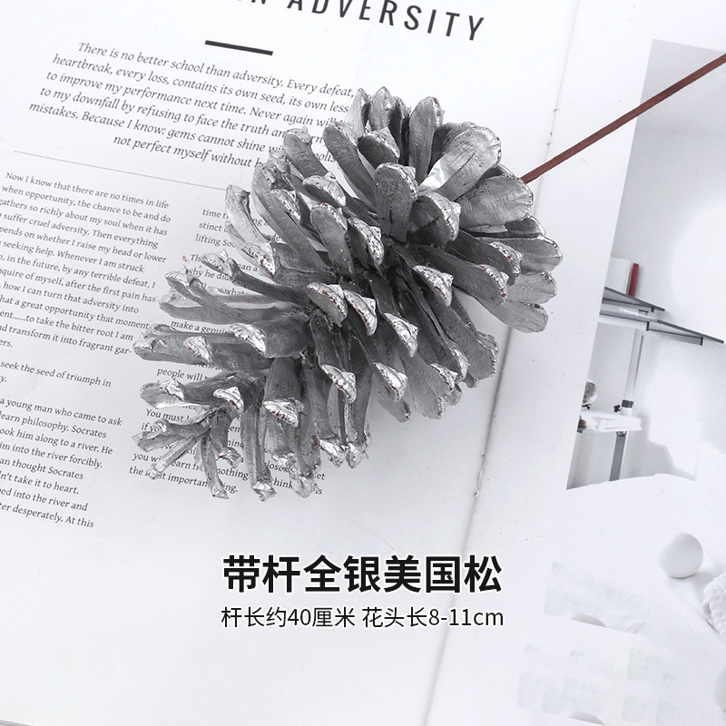 로드가 있는 올 실버 아메리칸 파인