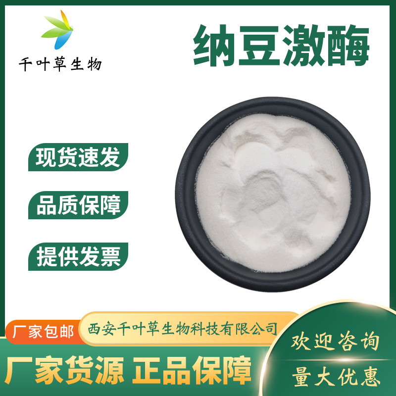 纳豆激酶20000FU/g 多规格  食品级 纳豆激酶粉 纳豆菌 纳豆激酶