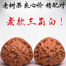 文玩核桃老树盘玩白狮子头手把件天然野生小众精配麻核桃一对