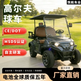 电动观光车;高尔夫球车;其他电动车