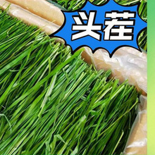 һlĦݰlֱӸɲݱZiĦֱ