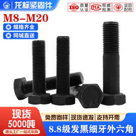 8.8级发黑细牙外六角螺丝细扣六角螺栓幼牙螺钉M8M10M12M14M16M20