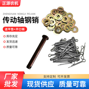 �����C�Ғ��N�����N�����C�f�򹝲��N���I�S��N��12.9��14���N��